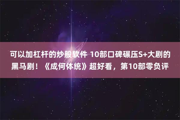可以加杠杆的炒股软件 10部口碑碾压S+大剧的黑马剧！《成何体统》超好看，第10部零负评